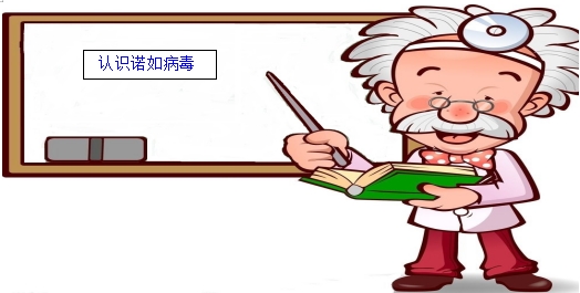  认识诺如病毒