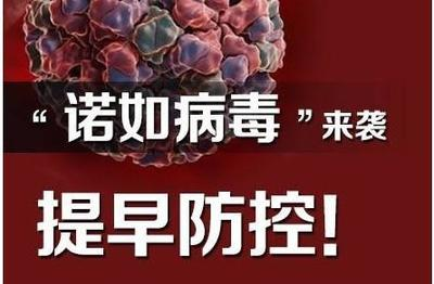 预防诺如病毒胃肠炎