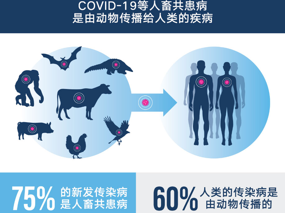 认识尼帕病毒